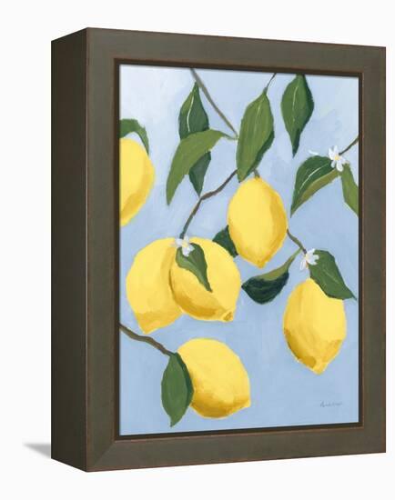 Lemon Tree Light-Pamela Munger-Framed Stretched Canvas