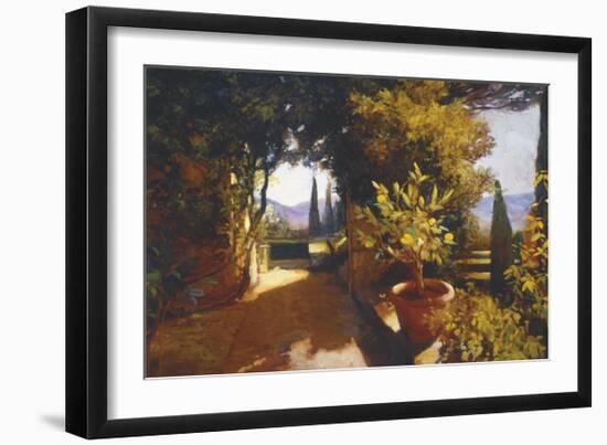 Lemon Tree Verona-Philip Craig-Framed Giclee Print