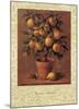 Lemon Tree-Joaquin Moragues-Mounted Art Print