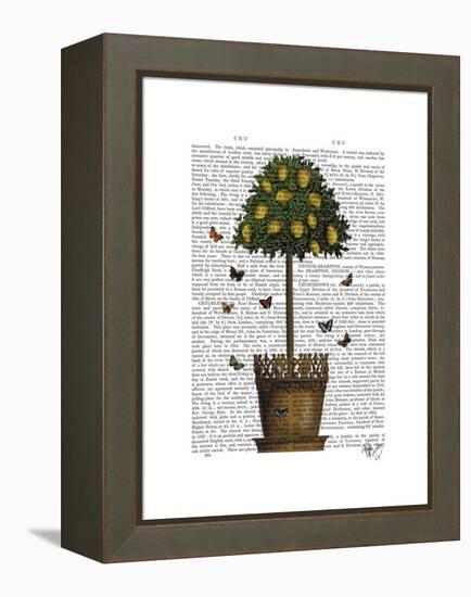 Lemon Tree-Fab Funky-Framed Stretched Canvas