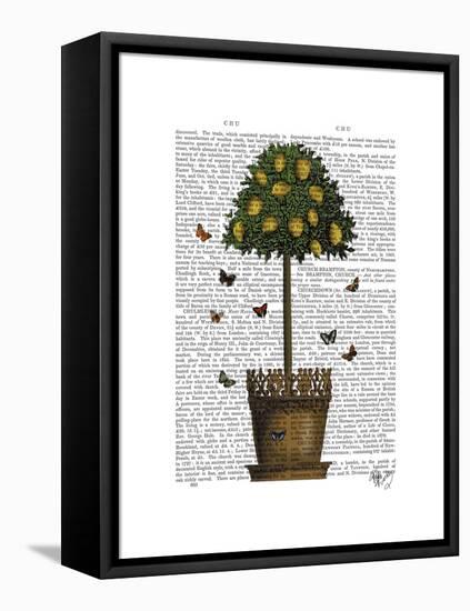 Lemon Tree-Fab Funky-Framed Stretched Canvas