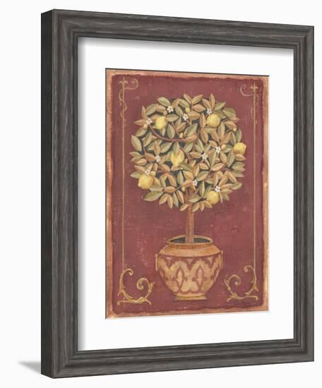 Lemon Tree-Tina Chaden-Framed Art Print