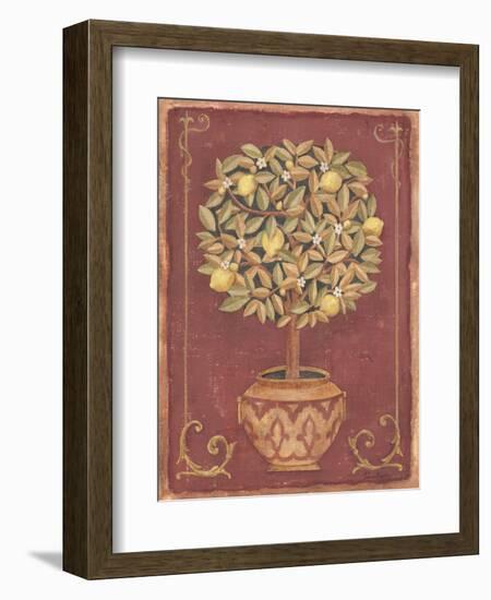 Lemon Tree-Tina Chaden-Framed Art Print