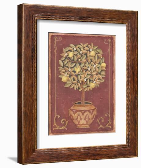 Lemon Tree-Tina Chaden-Framed Art Print