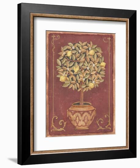 Lemon Tree-Tina Chaden-Framed Art Print