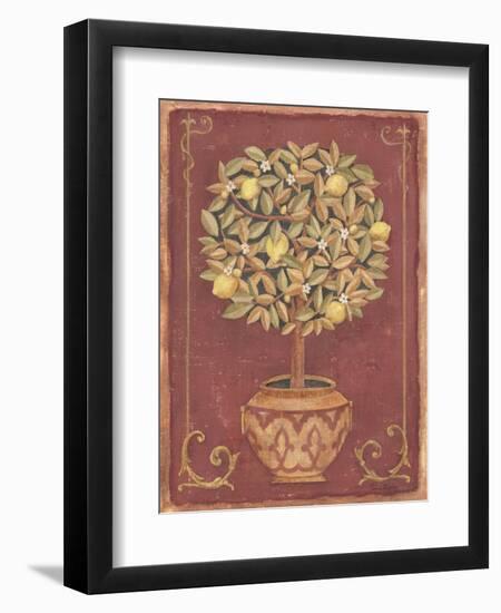 Lemon Tree-Tina Chaden-Framed Art Print