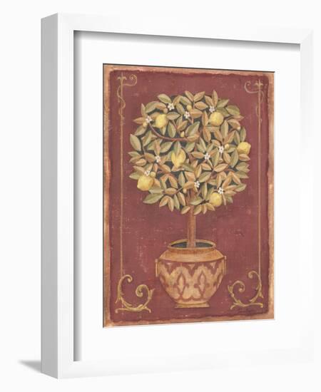 Lemon Tree-Tina Chaden-Framed Art Print