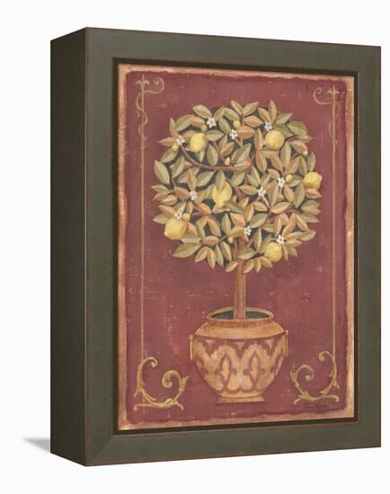 Lemon Tree-Tina Chaden-Framed Stretched Canvas