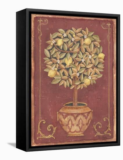 Lemon Tree-Tina Chaden-Framed Stretched Canvas