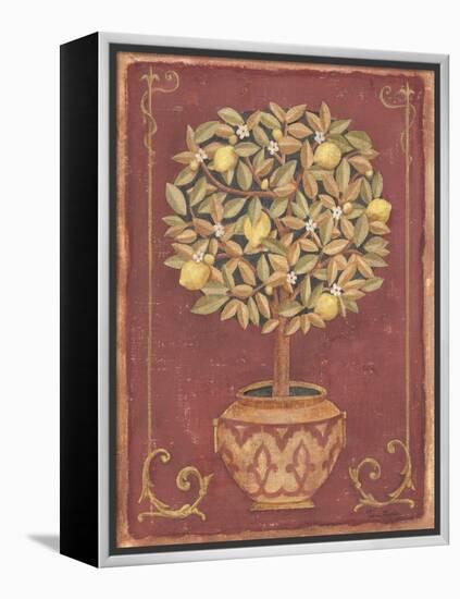 Lemon Tree-Tina Chaden-Framed Stretched Canvas