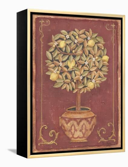 Lemon Tree-Tina Chaden-Framed Stretched Canvas