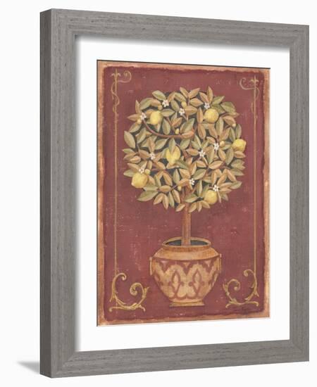 Lemon Tree-Tina Chaden-Framed Art Print