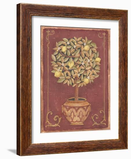 Lemon Tree-Tina Chaden-Framed Art Print