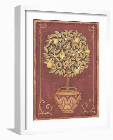 Lemon Tree-Tina Chaden-Framed Art Print