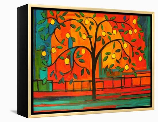 Lemon Tree-Patty Baker-Framed Stretched Canvas