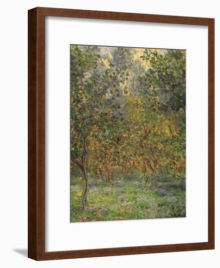 Lemon Trees, 1884-Claude Monet-Framed Premium Giclee Print