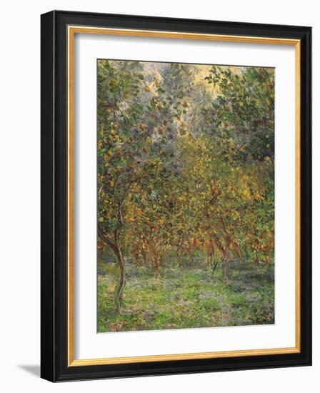 Lemon Trees, 1884-Claude Monet-Framed Premium Giclee Print