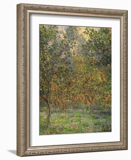 Lemon Trees, 1884-Claude Monet-Framed Giclee Print