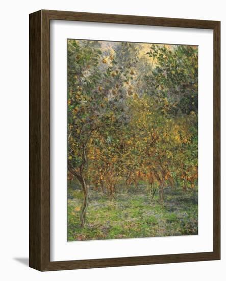 Lemon Trees, 1884-Claude Monet-Framed Giclee Print