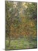 Lemon Trees, 1884-Claude Monet-Mounted Giclee Print