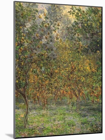 Lemon Trees, 1884-Claude Monet-Mounted Giclee Print