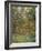 Lemon Trees, 1884-Claude Monet-Framed Giclee Print