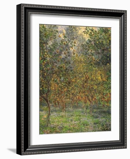 Lemon Trees, 1884-Claude Monet-Framed Giclee Print