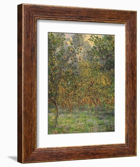 Lemon Trees, 1884-Claude Monet-Framed Premium Giclee Print