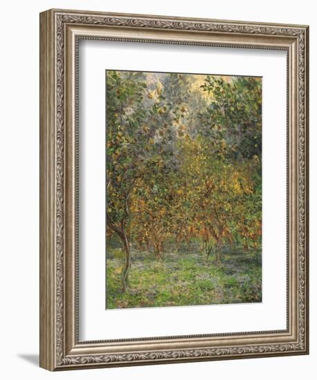 Lemon Trees, 1884-Claude Monet-Framed Giclee Print