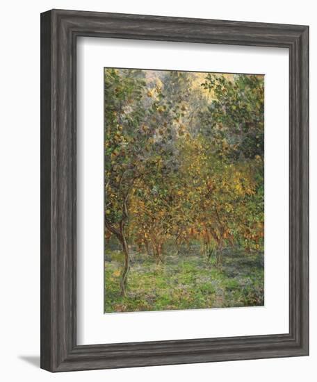 Lemon Trees, 1884-Claude Monet-Framed Giclee Print