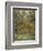 Lemon Trees, 1884-Claude Monet-Framed Giclee Print