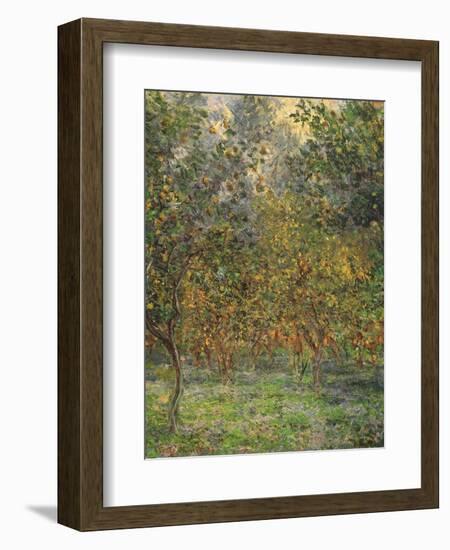 Lemon Trees, 1884-Claude Monet-Framed Giclee Print