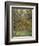 Lemon Trees, 1884-Claude Monet-Framed Giclee Print