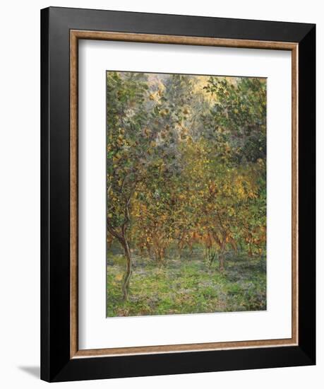 Lemon Trees, 1884-Claude Monet-Framed Giclee Print