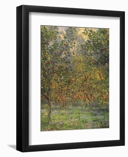 Lemon Trees, 1884-Claude Monet-Framed Giclee Print