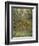 Lemon Trees, 1884-Claude Monet-Framed Giclee Print