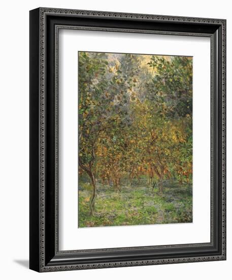 Lemon Trees, 1884-Claude Monet-Framed Giclee Print