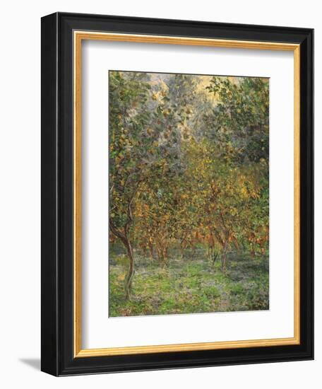 Lemon Trees, 1884-Claude Monet-Framed Giclee Print