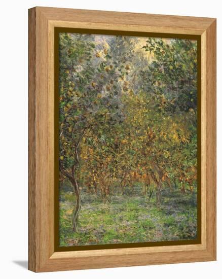 Lemon Trees, 1884-Claude Monet-Framed Premier Image Canvas