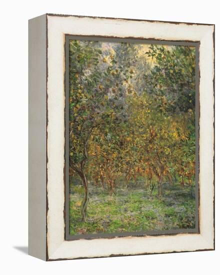 Lemon Trees, 1884-Claude Monet-Framed Premier Image Canvas