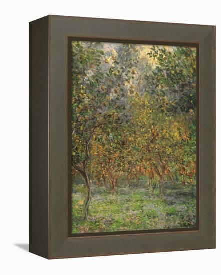 Lemon Trees, 1884-Claude Monet-Framed Premier Image Canvas