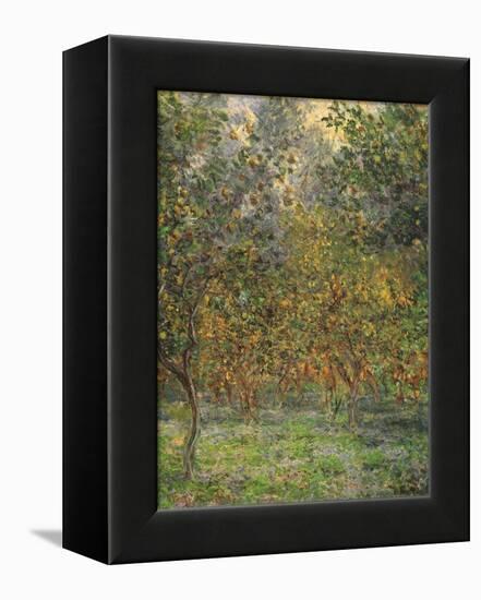 Lemon Trees, 1884-Claude Monet-Framed Premier Image Canvas