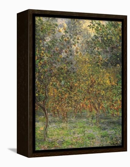 Lemon Trees, 1884-Claude Monet-Framed Premier Image Canvas