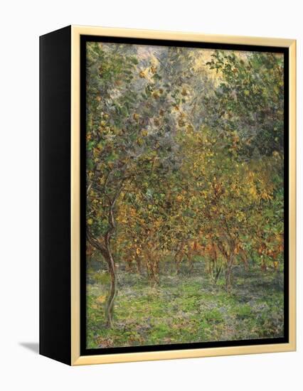 Lemon Trees, 1884-Claude Monet-Framed Premier Image Canvas