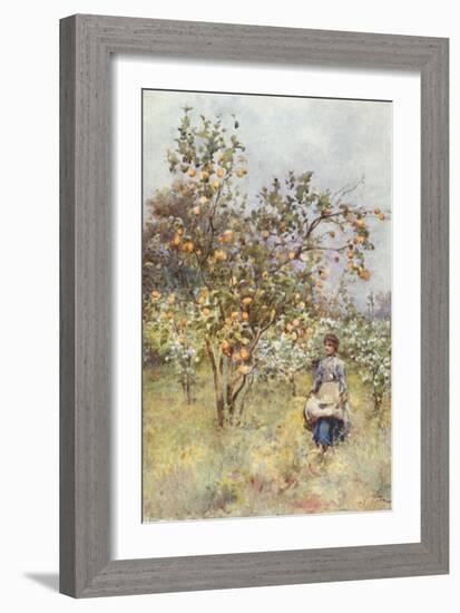 Lemon-Trees: Spring-Alberto Pisa-Framed Giclee Print