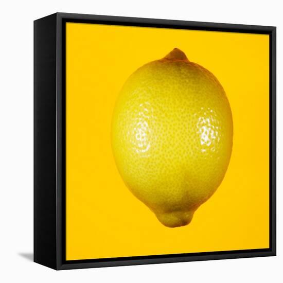 Lemon-Mark Sykes-Framed Premier Image Canvas