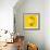 Lemon-Mark Sykes-Framed Premium Photographic Print displayed on a wall