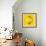 Lemon-Mark Sykes-Framed Premium Photographic Print displayed on a wall