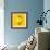 Lemon-Mark Sykes-Framed Premium Photographic Print displayed on a wall