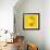 Lemon-Mark Sykes-Framed Premium Photographic Print displayed on a wall